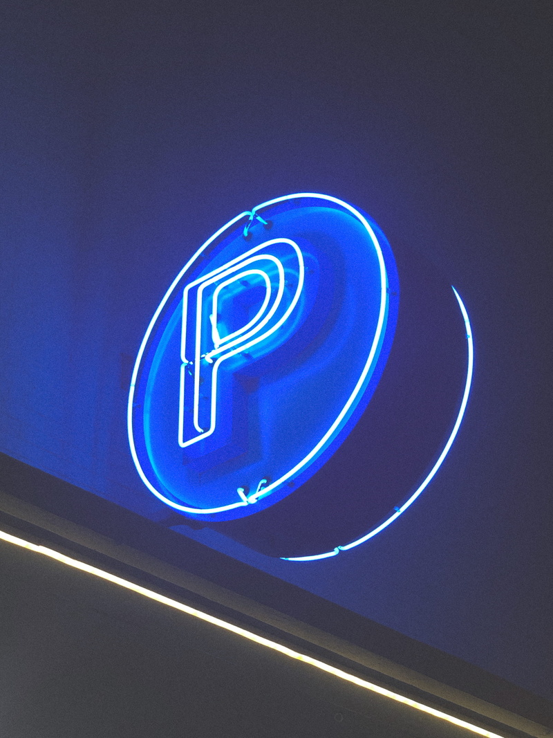 203 e 7th st, 4K, bird, sign, lighting equipment, p, hood, drink, laser, glowing, light - natural phenomenon, beverage, soda, flare, light, clothing, communication