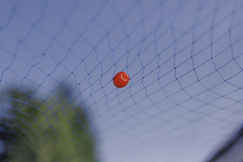 produce, bag, meal, focus on foreground, hole, bead, sphere, text, accessory, fence, protection, 5K, close-up, accessories, red, nature, boundary, pattern