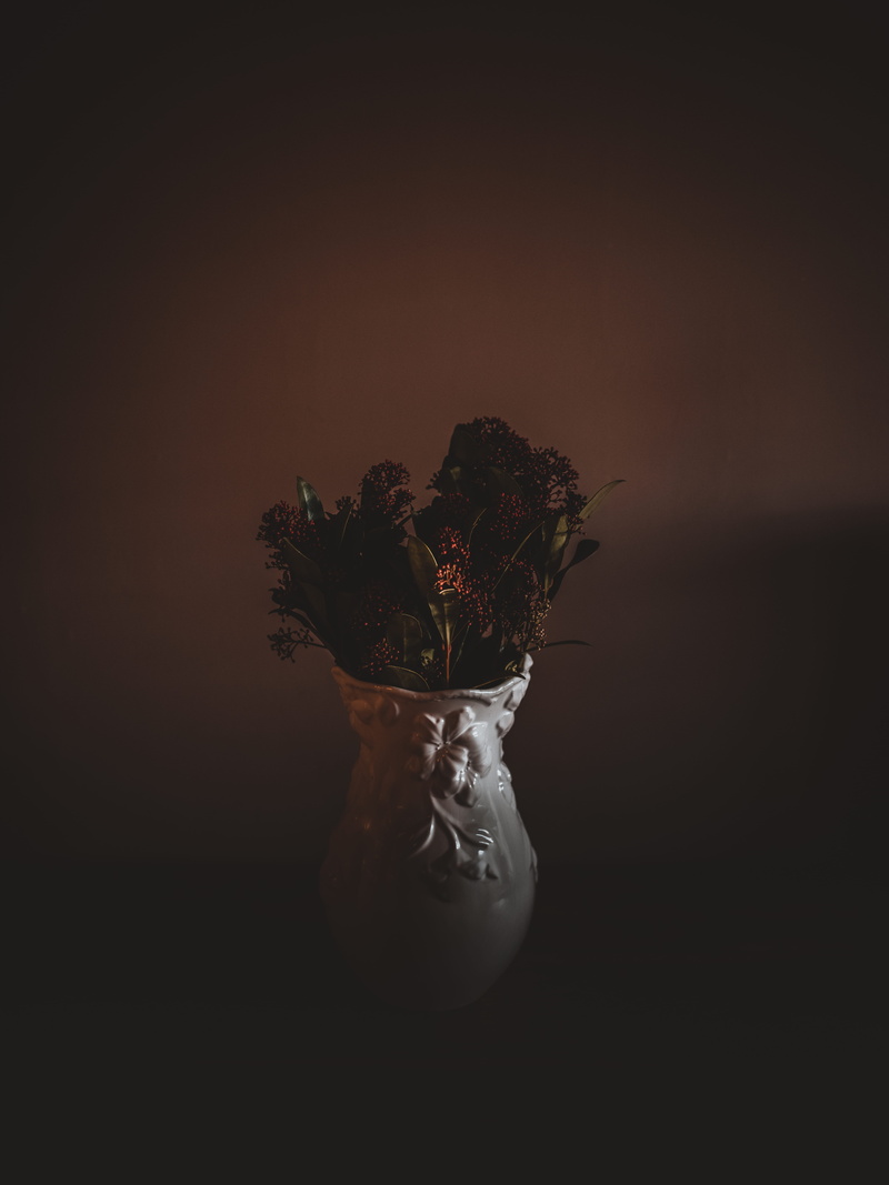 overcoat, table, glass, vase, vulnerability, no people, jar, potted plant, indoors, animal, blossom, flower arrangement, cat, close-up, beauty in nature