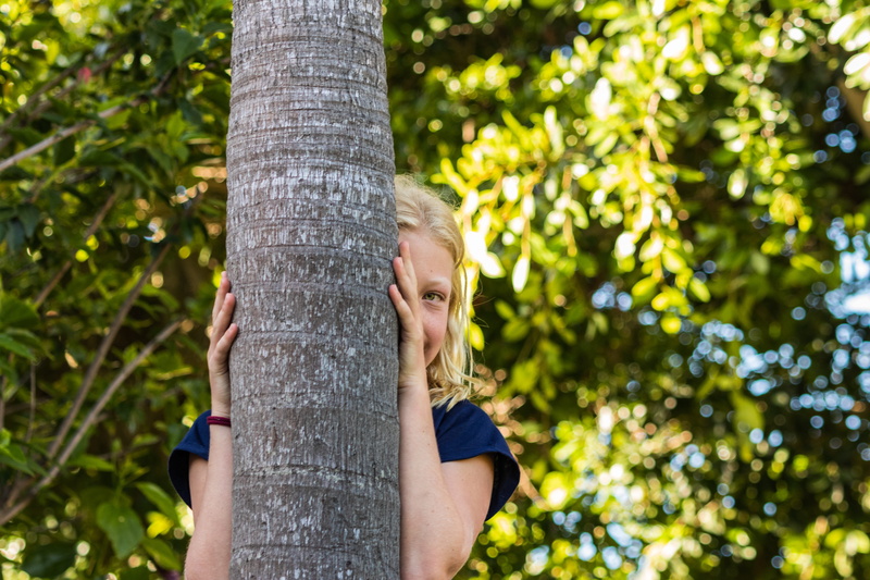 plant, growth, garden, oak, outdoors, cricket insect, responsibility, blossom, women, human, one person, tree trunk, grey, nature, hairstyle, lifestyles