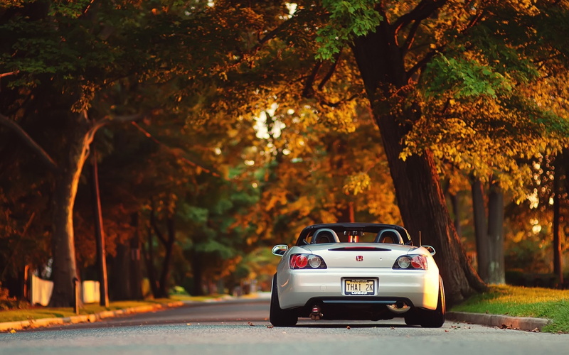 car, park, honda s2000, fall, trees, 2K, road, evening, s2000, Convertible, Honda