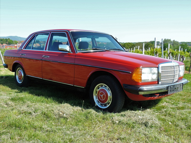 sunlight, mode of transportation, grass, land, plant, mercedes, dream car, oldie, retro styled, benz, field, oldtimer, e-class, motor vehicle, land vehicle