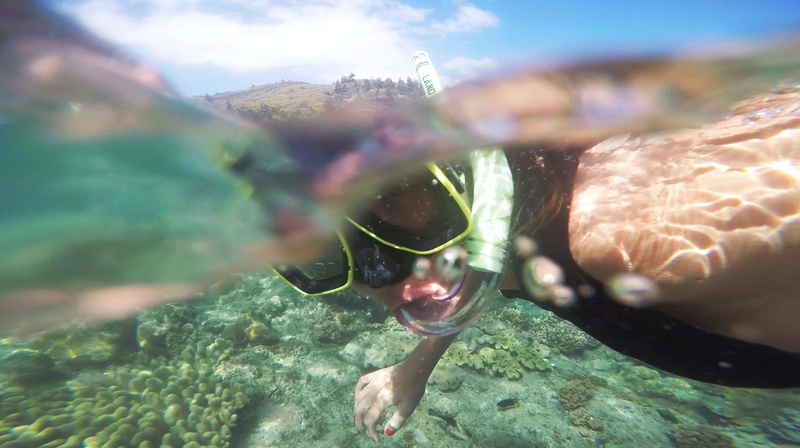 underwater, nature, tropical, sunlight, diving, leisure, holiday, marine, lifestyle, transparent, mask, summer, water, day, undersea, clear water, ocean