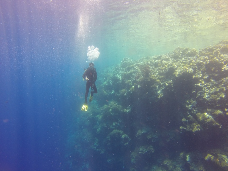 leisure activity, palau, pacific, unrecognizable person, water, diving, activity, scuba, swimming, scuba diving, 2K, undersea, diving equipment, person