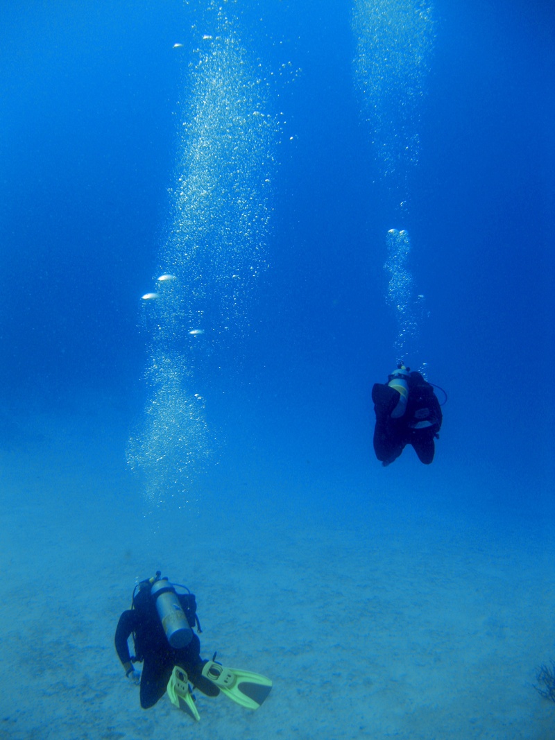 lifestyles, outdoors, sea, water, unrecognizable person, scuba, exploration, leisure activity, diving, underwater Diving, divers, aquatic, activity, biodiversity