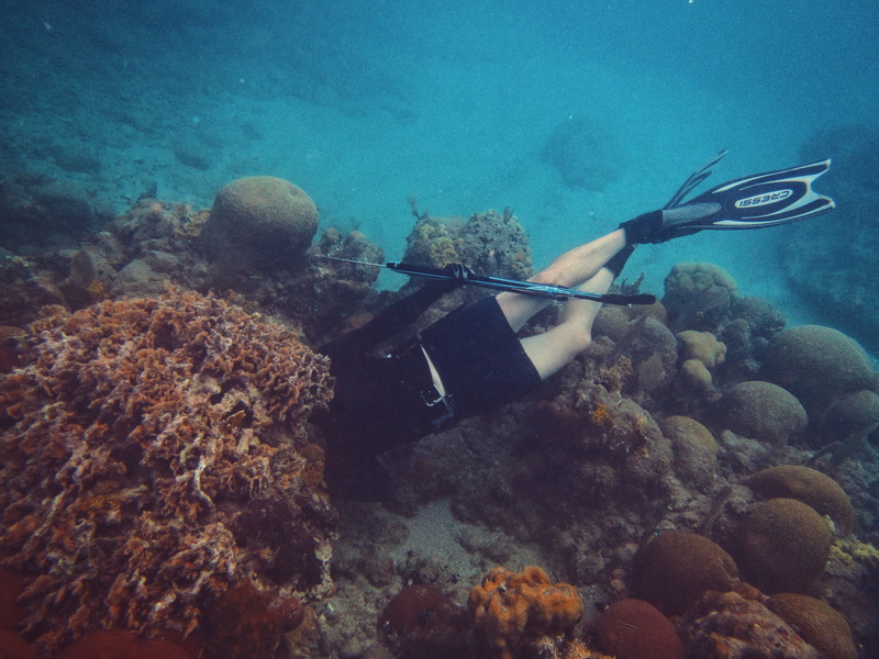 unrecognizable person, swimming, water, underwater, sea, person, ocean, adventure, coral, sport, exploration, scuba diving, landscape, 4K, sea life, sunken