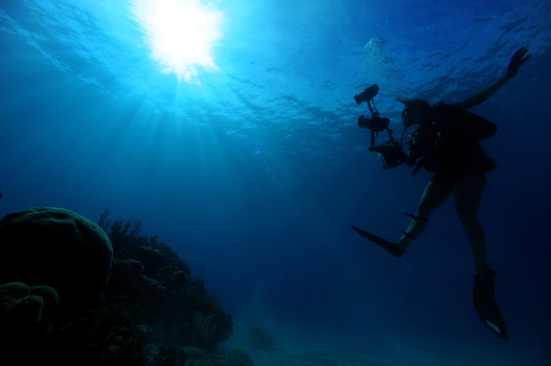 body, diver, swimming, underwater, undersea, diving, reef, water, marine, animal, diving Into Water, adventure, scuba Diving, underwater Diving, blue, ocean