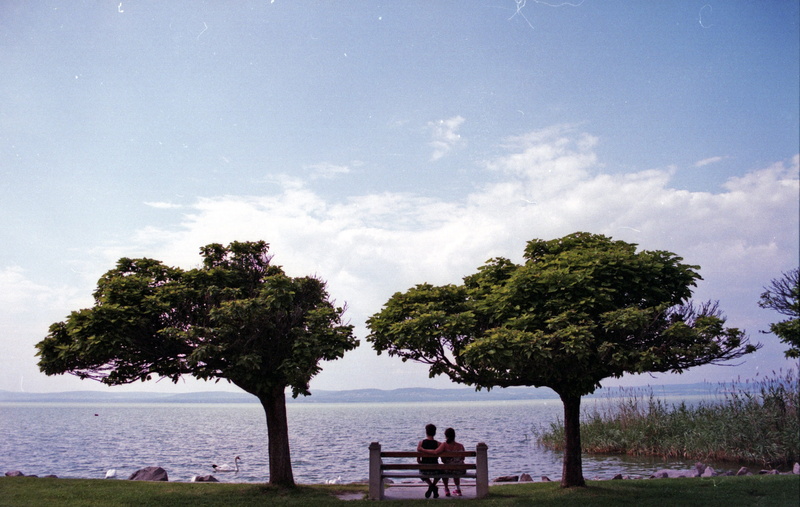 plant, woman, park bench, beauty in nature, 2K, boyfriend, outdoors, leisure activity, cloud - sky, romance, love, relationship, lovers, nature, togetherness