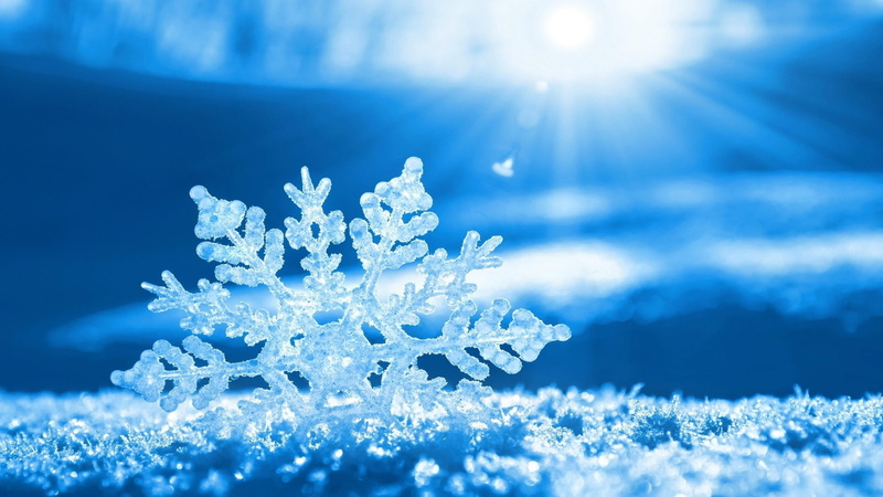outdoors, cold temperature, 2K, frost, beauty in nature, ice, macro, ice crystal, snow flakes, no people, snowflake, blue, plant, lens flare, christmas