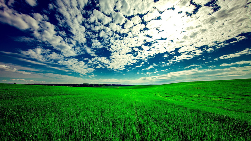field, landscape, grassland, cloud, green, horizon, grass, nature, daytime, plain, 4K, green field, sky