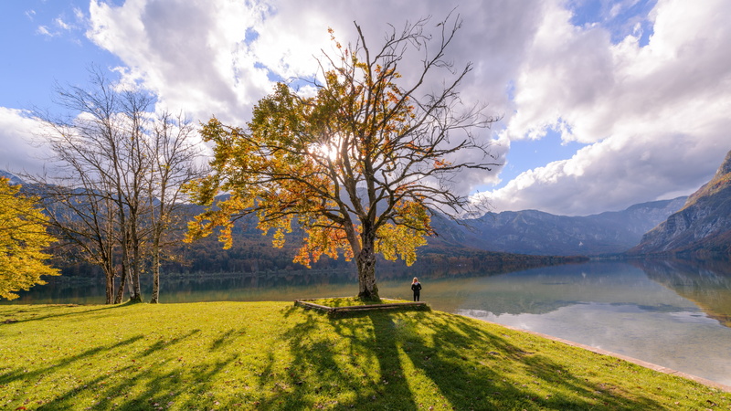 mount scenery, 5k uhd, grass, shadow, sunlight, morning, 5K, 5k, cloud, autumn, sky, highland, tree, mountain lake, lake