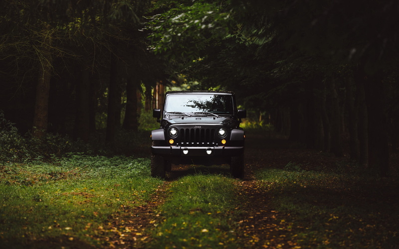 stationary, tree, field, no people, land, green color, plant, land vehicle, growth, grass, car, forest, travel, transportation, 4K, tree trunk, Jeep, outdoors