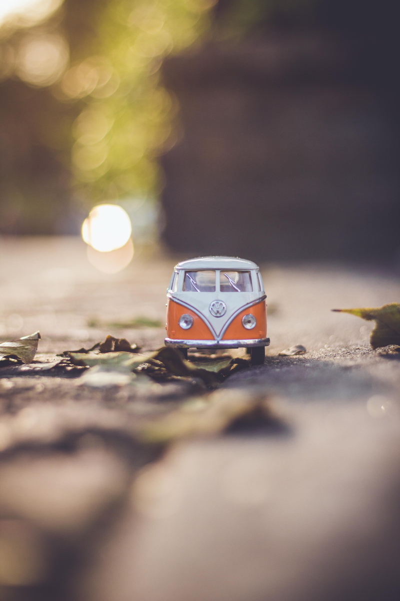 selective, combi, surface level, focus, kids toy, model, one animal, automobile, 5K, animal themes, selective focus, close-up, blurred background, animal wildlife