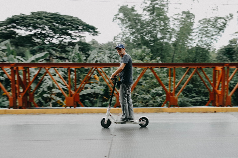 full length, road, standing, side view, travel, plant, vehicle, nature, riding, trees, motion, lifestyle, adult, wear, outdoors, 2K, recreation, bird