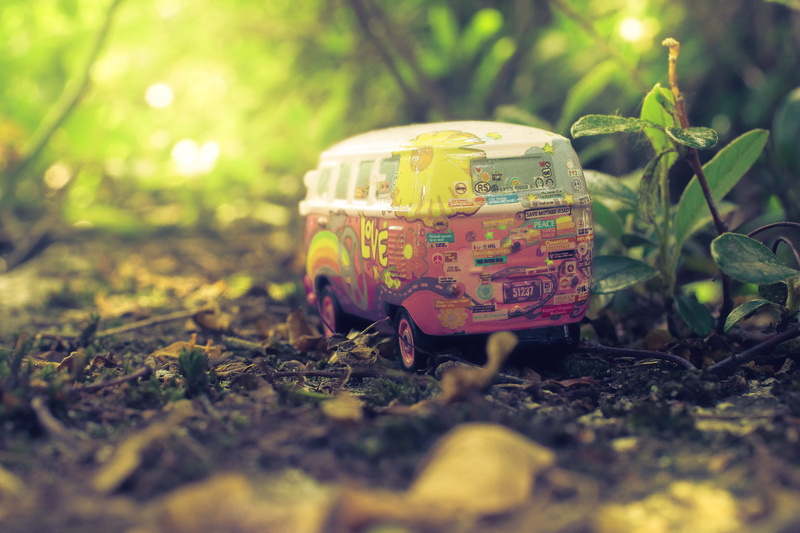 leaf, plant part, samba, love, floral, outdoors, finance, single object, red, forest, dirt, selective focus, land, adventure, gray, vintage, business, road trip