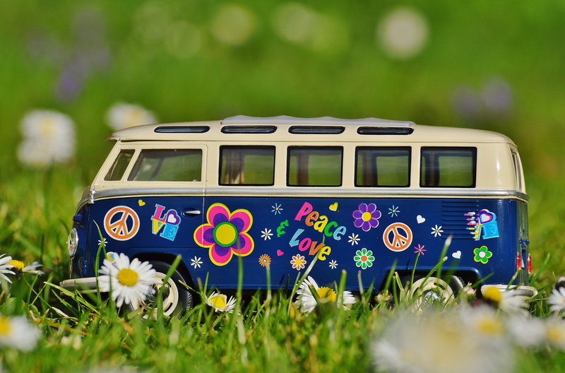 daytime, blue, flowering plant, meadow, number, vehicle, summer, shallow, plain, vw bulli, white, oldtimer, cult, mode of transportation, yellow, peace