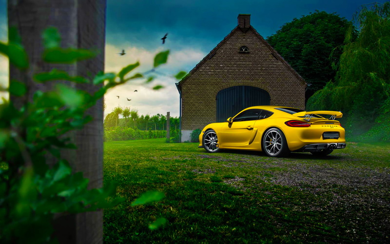 GT4, Yellow, Nature, Porsche, 1080P, Car, Cayman, Summer, Color, Rear