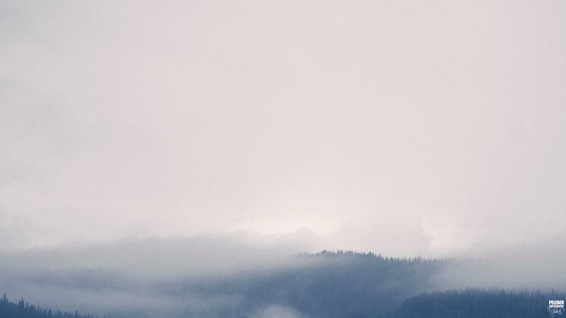 no people, plant, 2K, outdoors, tranquil scene, nature, forest, smog, non-urban scene, land, tree, cloud - sky, sky, environment, scenics - nature, rain