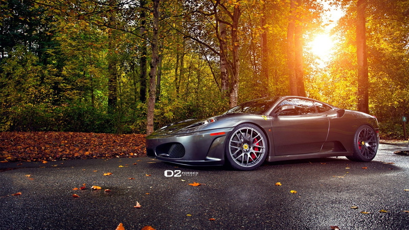 mode of transportation, plant part, no people, transportation, Ferrari F430 Scuderia, road, bright, 1080P, luxury, Ferrari F430, plant, outdoors, change