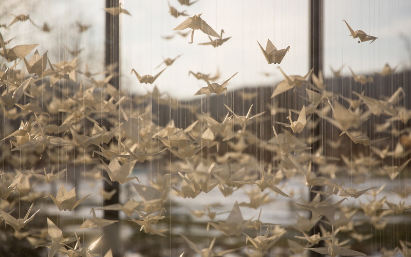 nature, close-up, flying, origami, focus on foreground, security, no people, plant, animal, animal wildlife, growth, animals in the wild, 2K, selective focus
