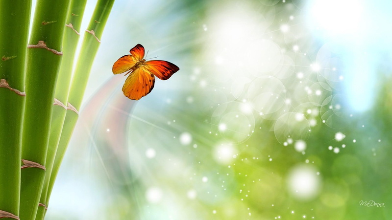butterfly, sparks, particles, nature and landscapes, tree, glow, 1080P, monarch, bamboo, summer, green, spring, nature, lights