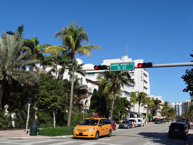 tree, nature, ocean drive, transportation, usa, tropical climate, palm tree, motor vehicle, streets, florida, day, road, sky, building exterior, land vehicle