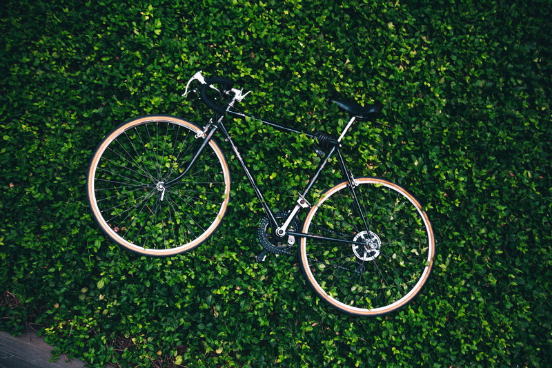 commuting, day, vehicle, green, metal, travel, sport, land vehicle, nature, farmland, park, ride, leaf, brakes, wheel, leisure, leaves, green color, chain
