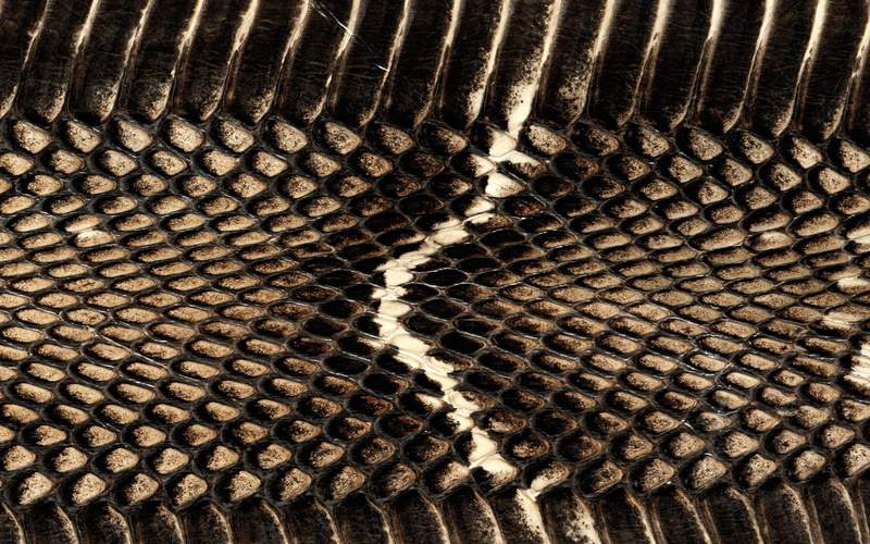 animal themes, still life, snake, net, metallic, metal, animal, high angle view, striped, pattern, leather, wire, steel, textured, abstract, 1080P, black Color