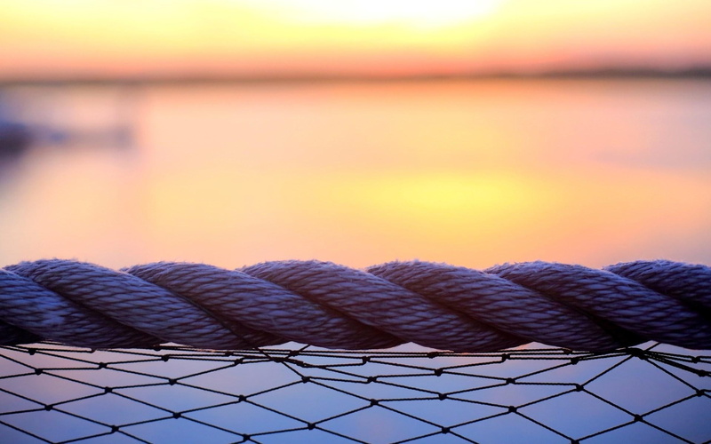 wire, macro, rope, 1080P, mesh