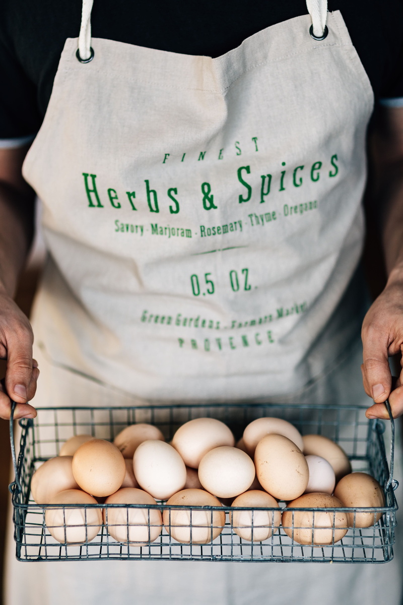 human body part, adults only, white color, holding, front view, egg, men, breakfast, hand, food and drink, fresh, focus on foreground, bakery, easter, organic