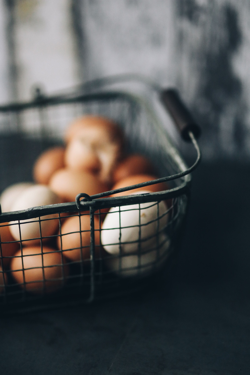 pets, real people, one animal, wire, selective focus, metal, one person, eggs, domestic, animal themes, food and drink, domestic animals, shopping cart