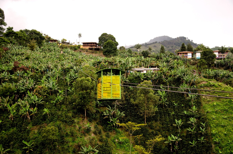 day, green color, finca, 4K, rural scene, Colombia, clear sky, Jardin, plant, cable car, banana tree, growth, Coffee, architecture, antioquia, garrucha