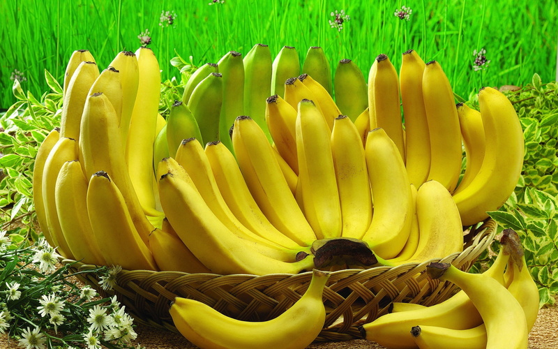 green Color, backgrounds, inflorescence, no People, healthy Eating, flower head, summer, food, growth, bunches, bunch, basket, banana, ripe, raw Food, bananas