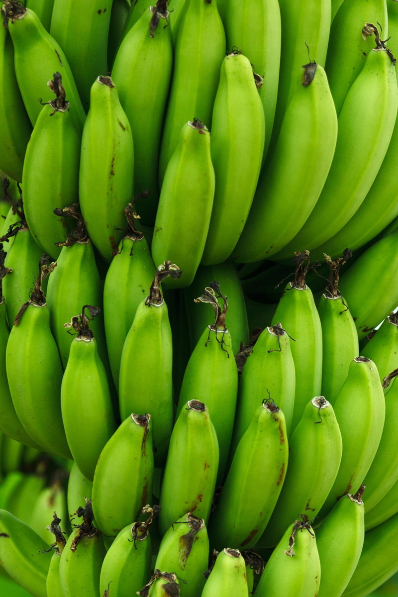 bunch, photo, wellbeing, backgrounds, ripe, raw food, green, agriculture, freshness, plantation, close, full frame, market stall, outdoors, fruits