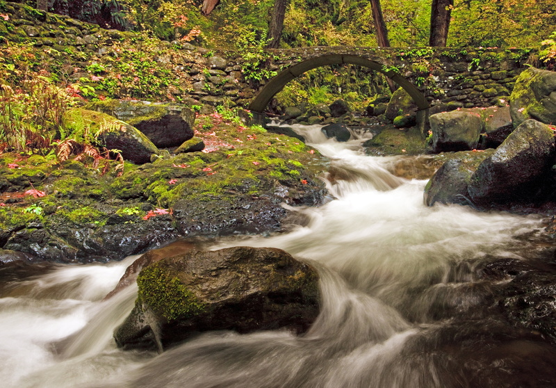 daytime, tree, Mountain  Trail, Falls, Multnomah  Creek, scenics, stream, river, Bridal  Veil, stone, outdoors, forest, Hike, Flowing, Oregon, Hiking, Autumn  Colors