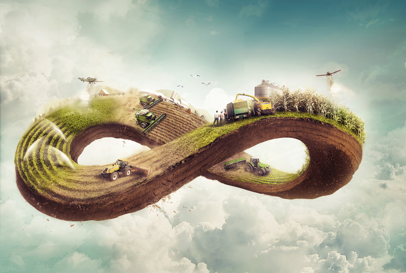 4K, 4K, Farming, Plantation cycle, Agriculture