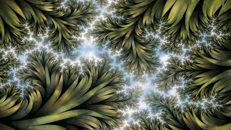 tropical Rainforest, abstract, low angle view, pattern, form, tropical Climate, backgrounds, large group of objects, fruit, leafed, day, light