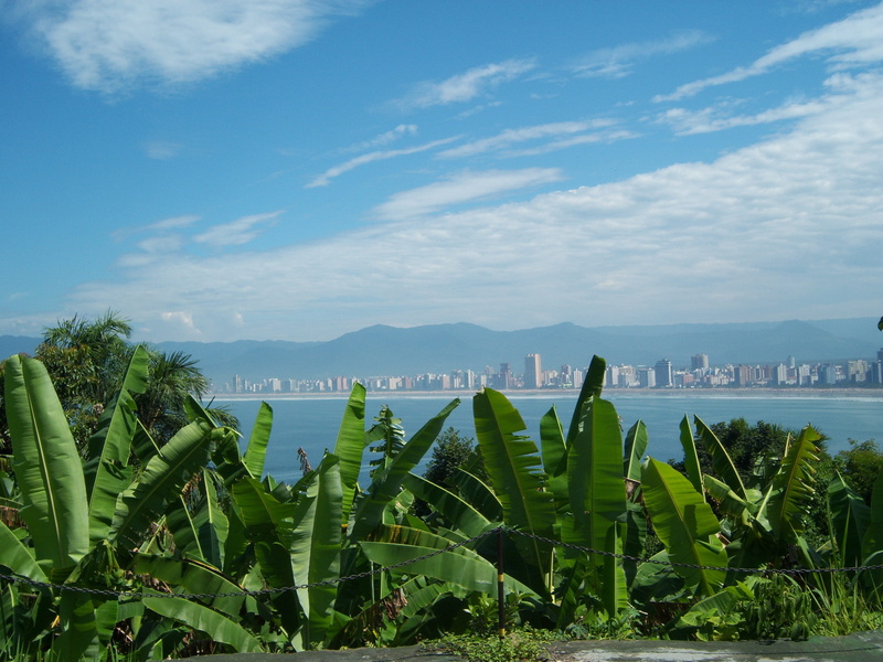 2K, architecture, blue sky, building exterior, atlantic forest, outdoors, growth, water, sky, built structure, cloud - sky, Banana Tree, tranquil scene