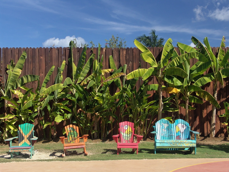 sunlight, four, tree, nature, green color, banana tree, jamaica, no people, background image, tropical climate, cloud - sky, holiday, land, sky, recovery