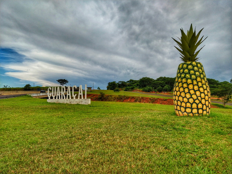 beauty in nature, tree, green color, tranquil scene, day, banana, nature, food, plant, tropical, pine, kiwi, 4K, sky, grass, landscape, lawn, cloud - sky