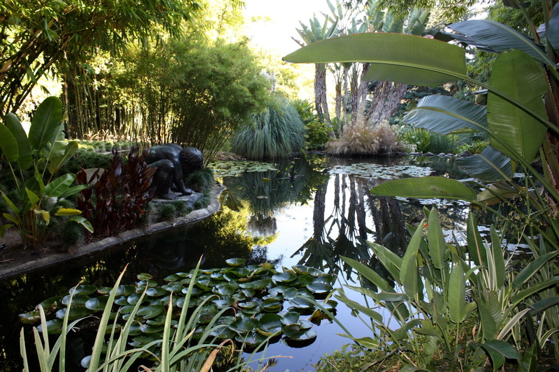 vegetation, lake, water-lilies, landscape, river, leaves, rainforest, tree, outdoors, water, tranquility, tropical Rainforest, tropical Climate, plants
