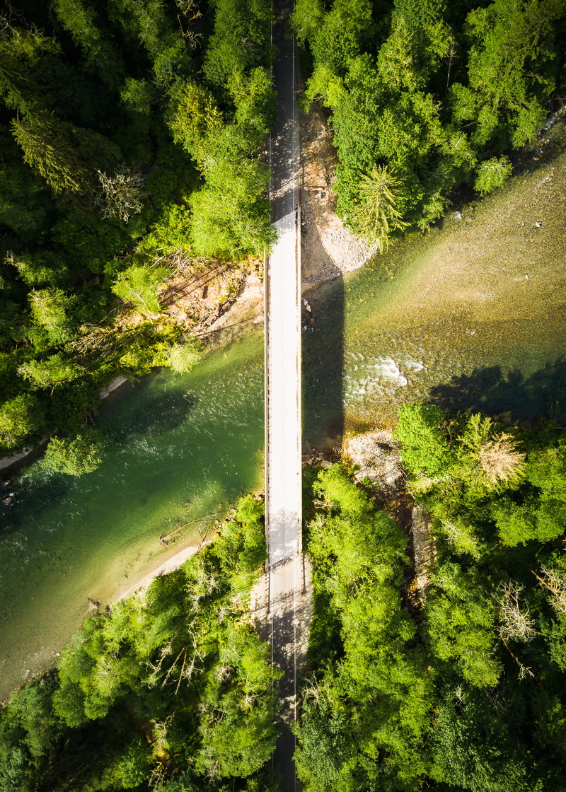 cross, no people, photo, beauty in nature, 4K, grass, bright, green color, bird, forest, top down, pacific northwest, plant, drone view, nature, concrete