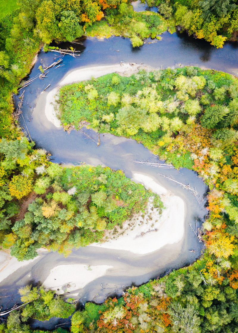nature, pnw, autumn, tranquil scene, outdoors, aerial, no people, drone photography, high angle view, surrounded, growth, aerial view, water, lake, tree