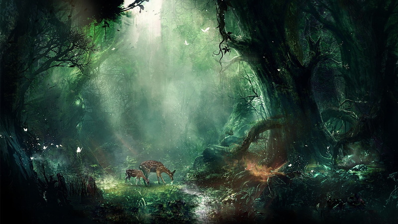 1080P, forest, fantasy art, fawns, deer