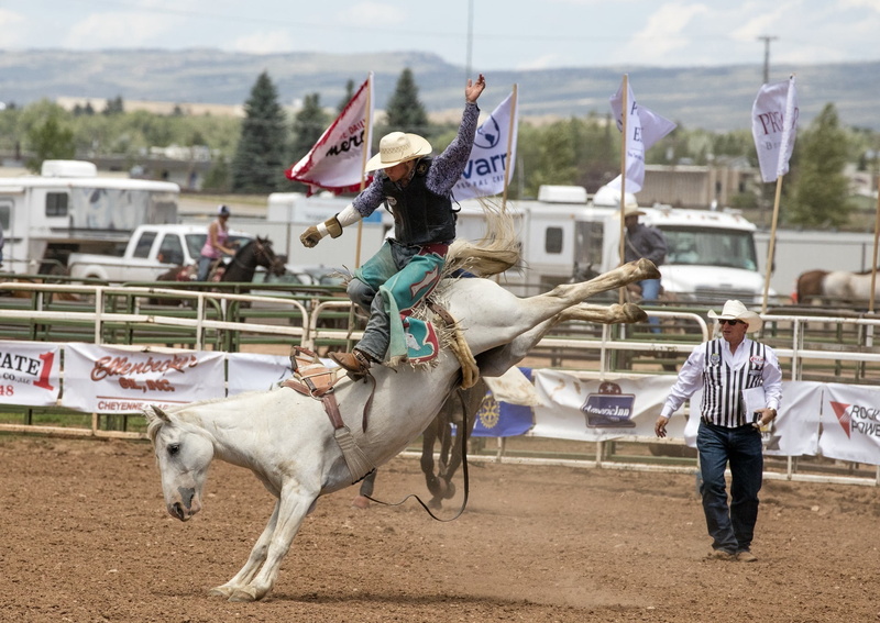 rodeo, transportation, herbivorous, animal wildlife, sport, bronc rider, 1080P, real people, horse, saddle, competition, working animal, livestock, vertebrate