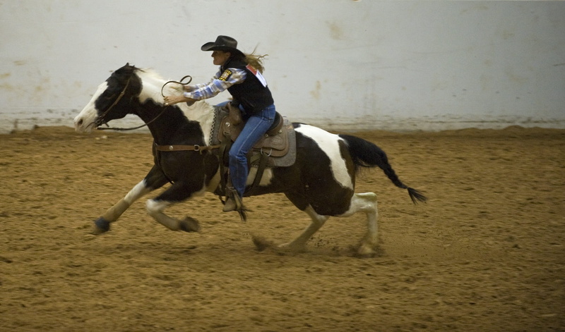 Barrel Racing, stress, running, Rodeo, animal themes, equestrian, cowboy, working animal, land, pets, domestic, horse, full length, female, activity, riding