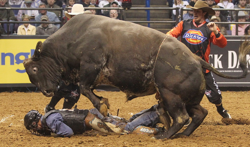 bull, riding, western, cow, rodeo, bullrider, extreme, cowboy, 2K