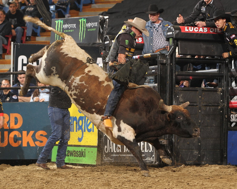 cowboy, 12 jpg, cow, rodeo, bull, bullrider, western, extreme, riding, 720P