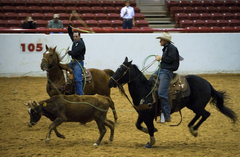 group of people, horseback riding, sport, western, livestock, arena, vertebrate, people, riding, two, male, race, domestic animals, working animal, usa