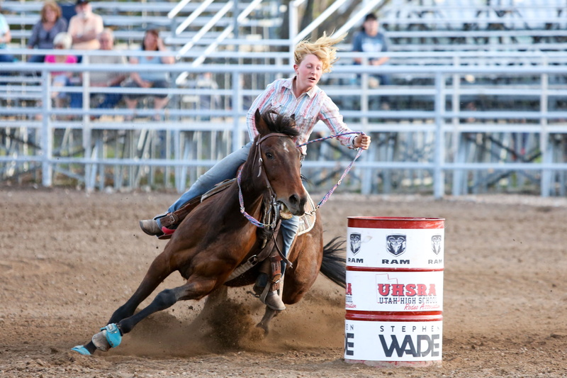 competition, cowboy, sign, one person, rodeo, outdoors, horses, real people, sitting, animal wildlife, co, day, 4K, herbivorous, riding, speed, horse